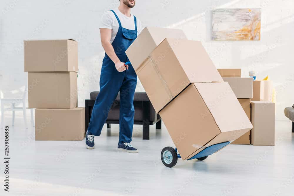 Expert Moving Solutions for Specialized Items in UAE